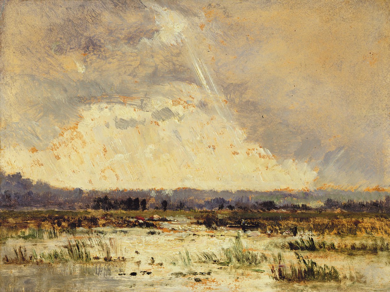 O pântano na Souterraine, 1842 de Pierre Etienne Theodore Rousseau