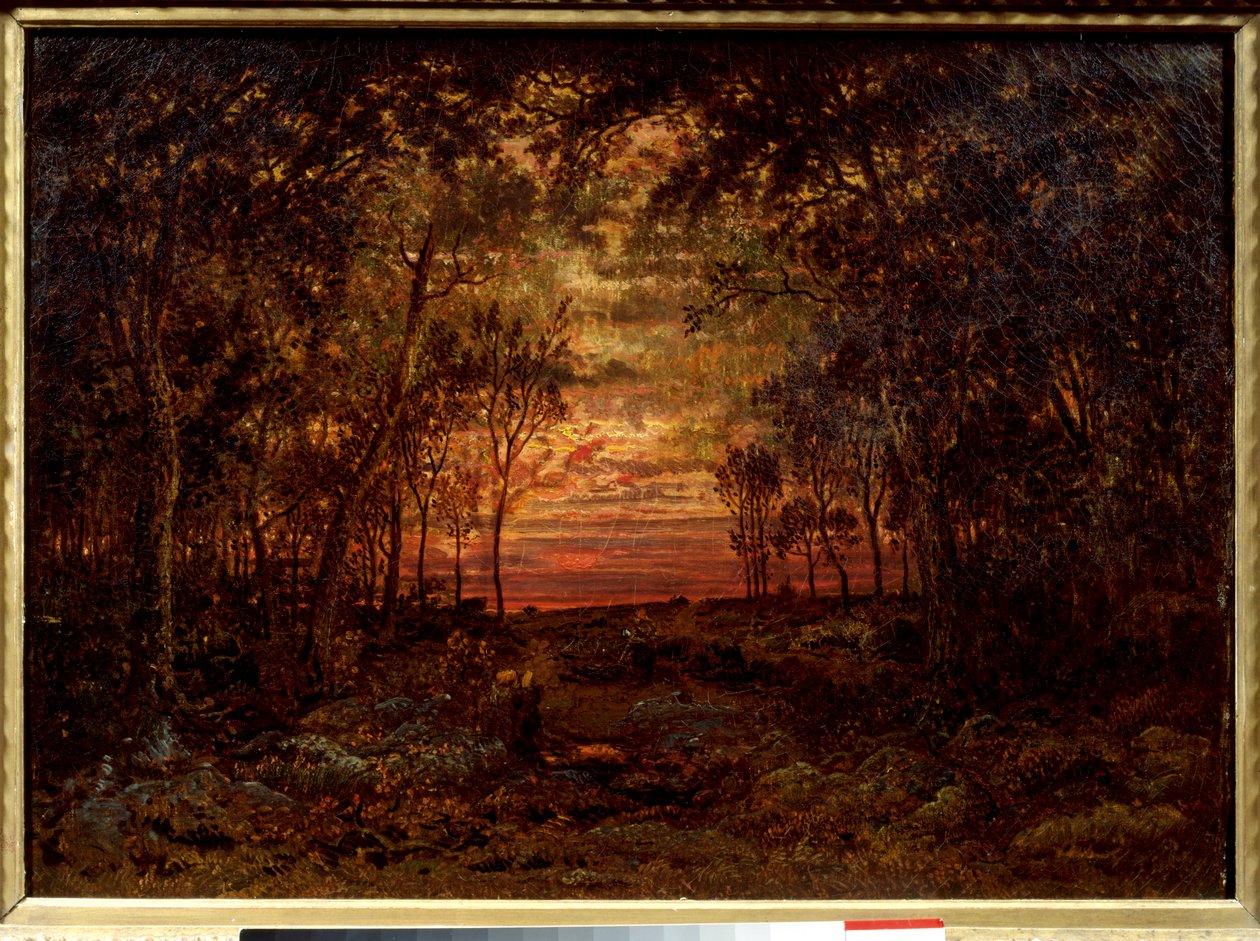 Pôr-do-sol na floresta Pintura por Theodore Rousseau (1812-1867) Século XIX Escola Barbizon. Dim. 0,46x0,62m. Óleo sobre tela... de Pierre Etienne Theodore Rousseau