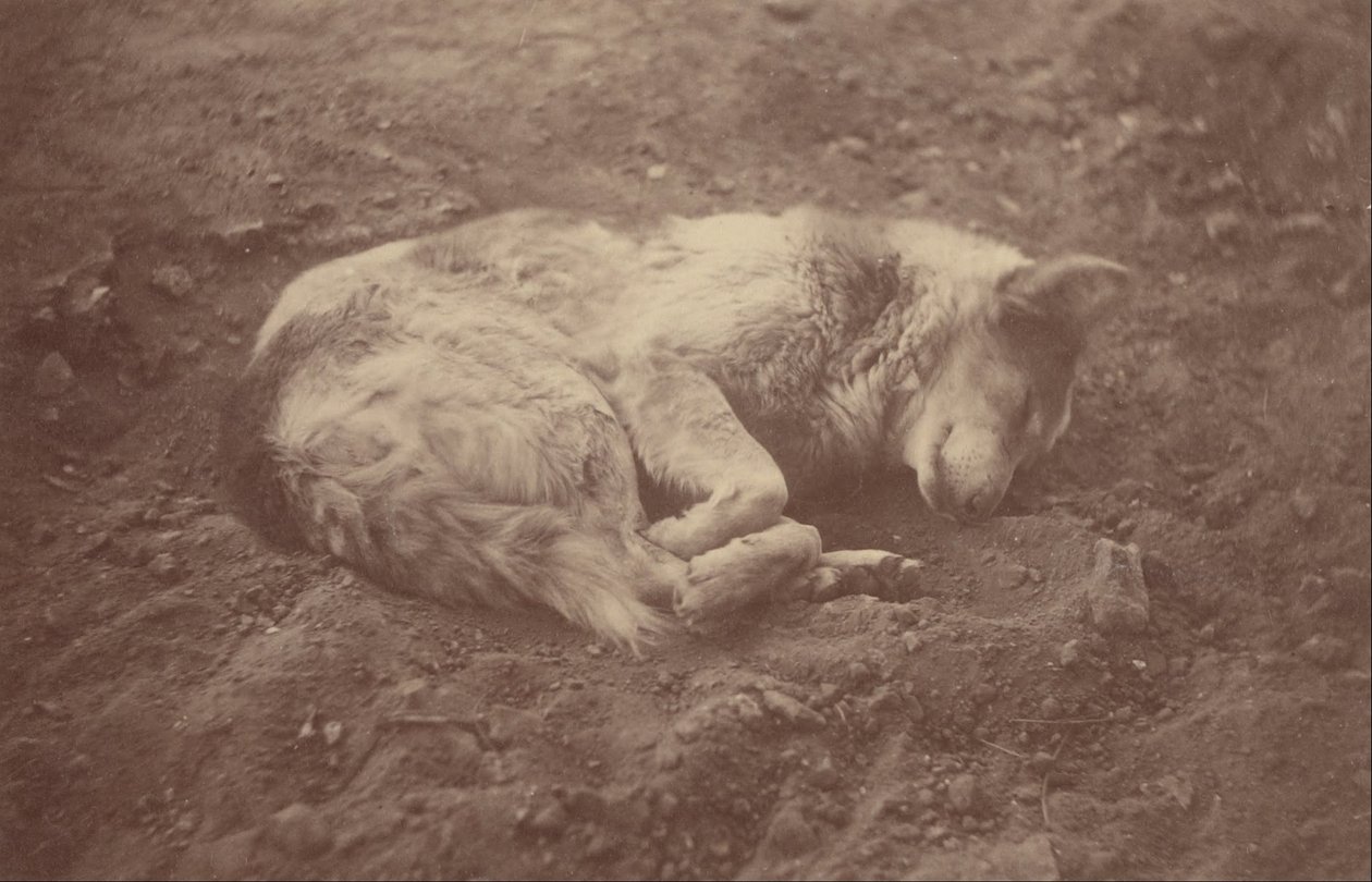 (Cachorro dormindo) de Théodule Devéria