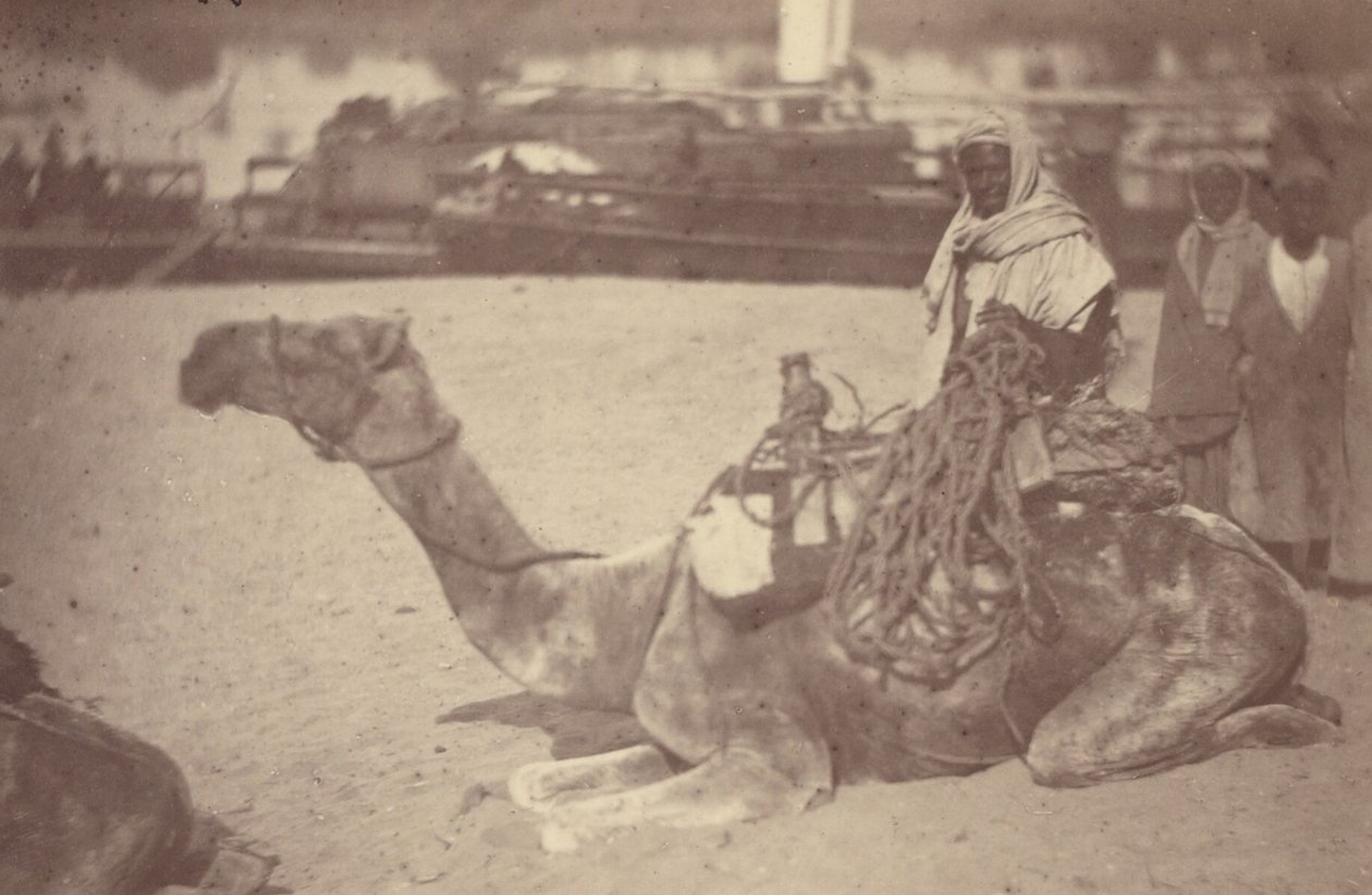 [ Um homem norte-africano num camelo na margem do Nilo]. de Théodule Devéria