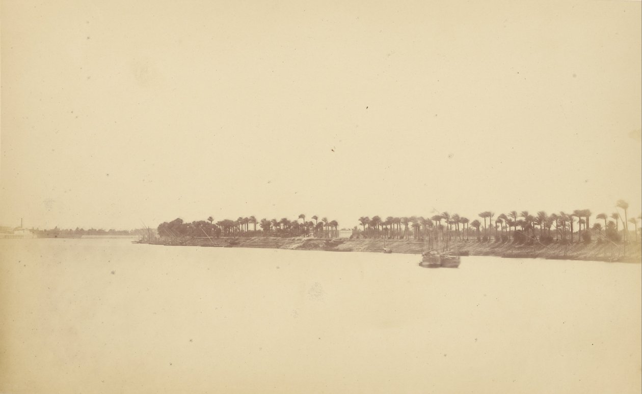 Margens do Nilo com palmeiras e barcos de Théodule Devéria