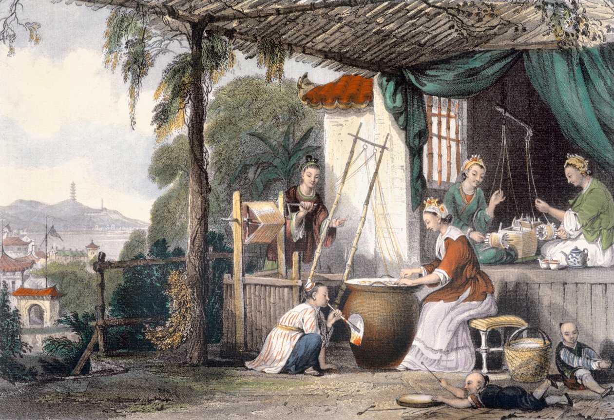Destruindo as crisálidas e enrolando os casulos, da "China em uma série de vistas", de George Newenham Wright (c.1790-1877) gravada por J. Davies, 1843 de Thomas Allom