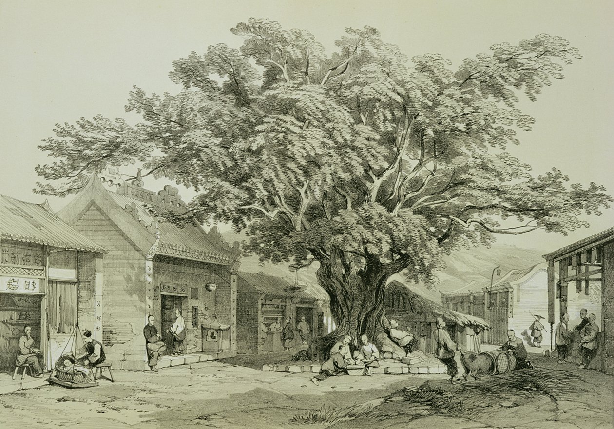 O Templo, Macau, c.1850 (caneta e tinta, lápis, aumentado com branco sobre papel) de Thomas Allom
