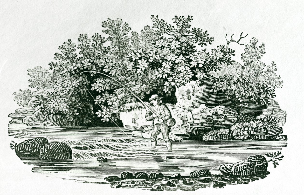 Um pescador em uma piscina do rio, de &39;British Birds&39;, 1804 (gravura em madeira) de Thomas Bewick