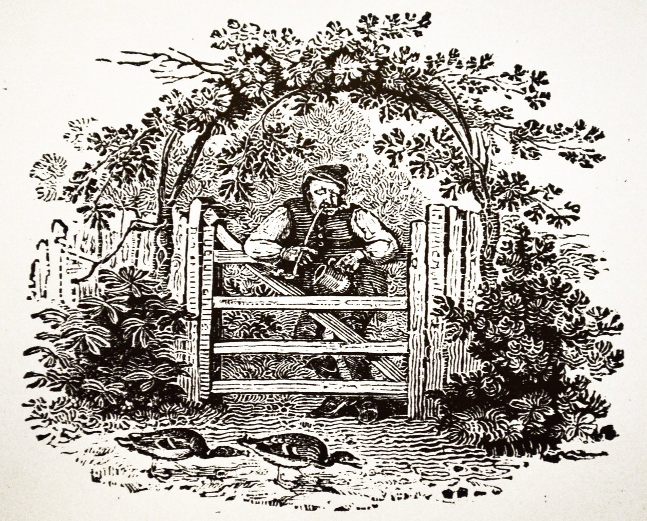 Countryman fumando um Churchwarden, 1804 de Thomas Bewick