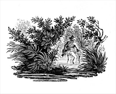 De acordo com o rio, de Land Birds, c. 1797 (gravura em madeira) de Thomas Bewick