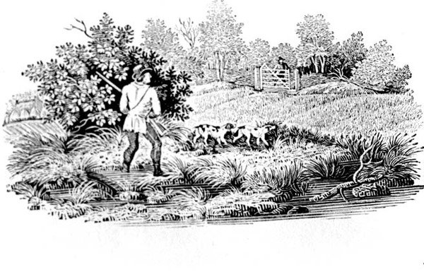 Esportista com dois cães da terra aves 1797 (gravura em madeira) de Thomas Bewick
