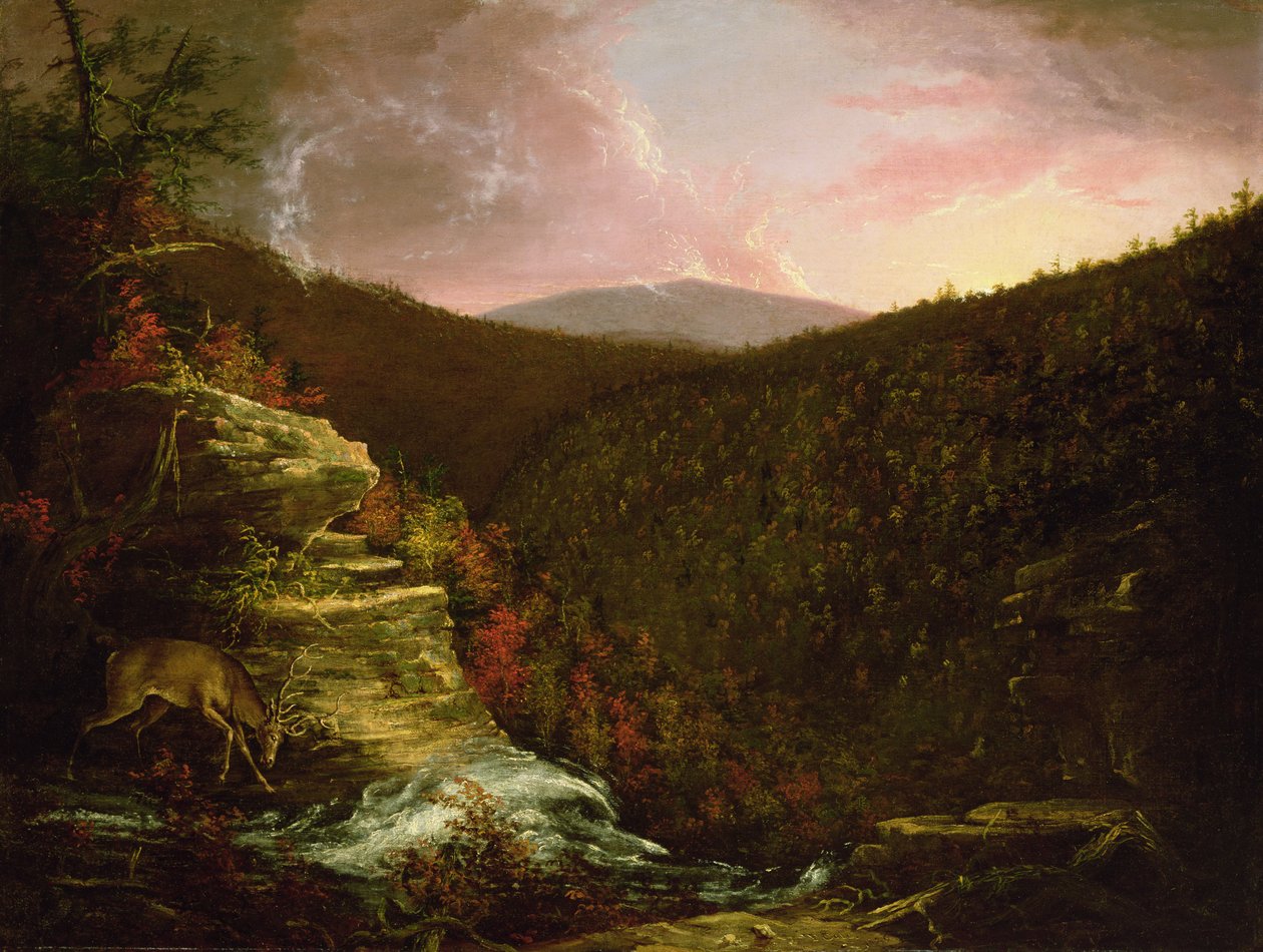 Do alto das quedas de Kaaterskill, 1826 de Thomas Cole