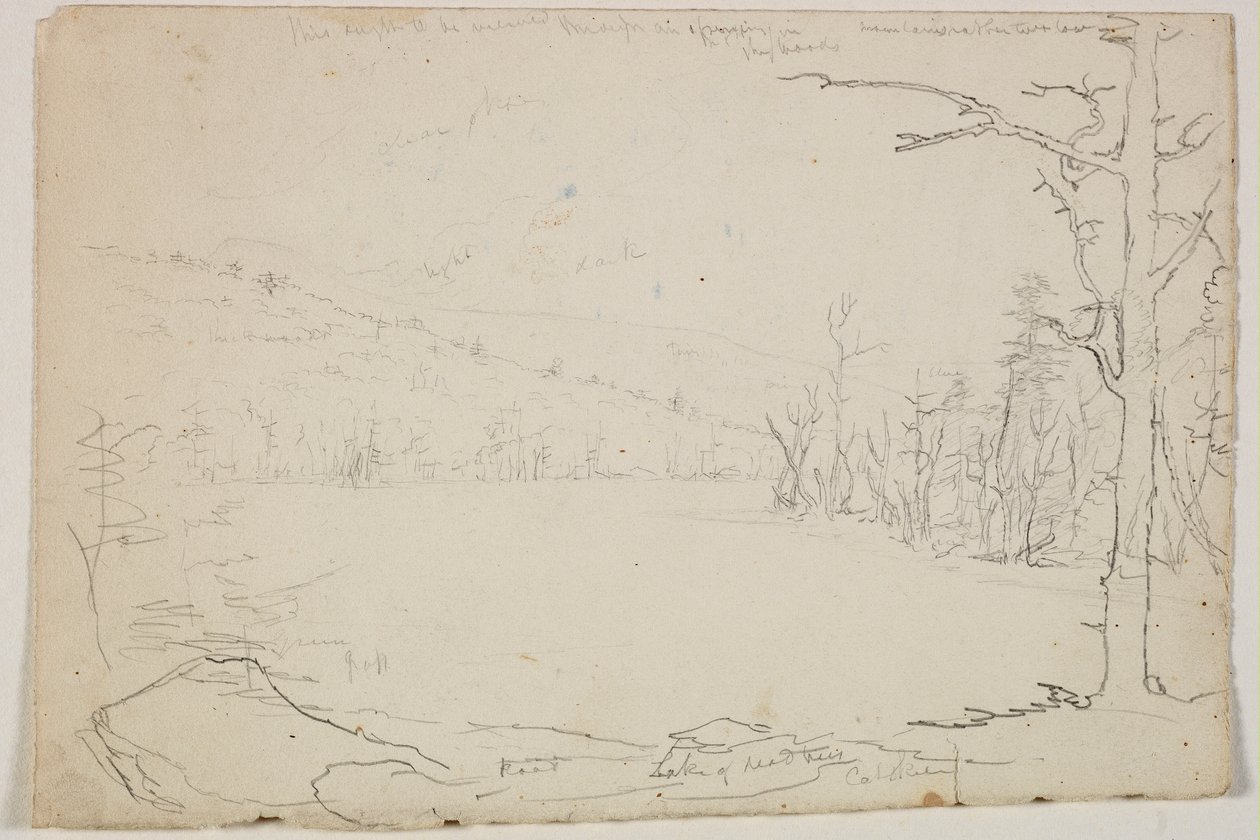Lago das Árvores Mortas, Catskill, 1825 (lápis de grafite sobre papel branco) de Thomas Cole