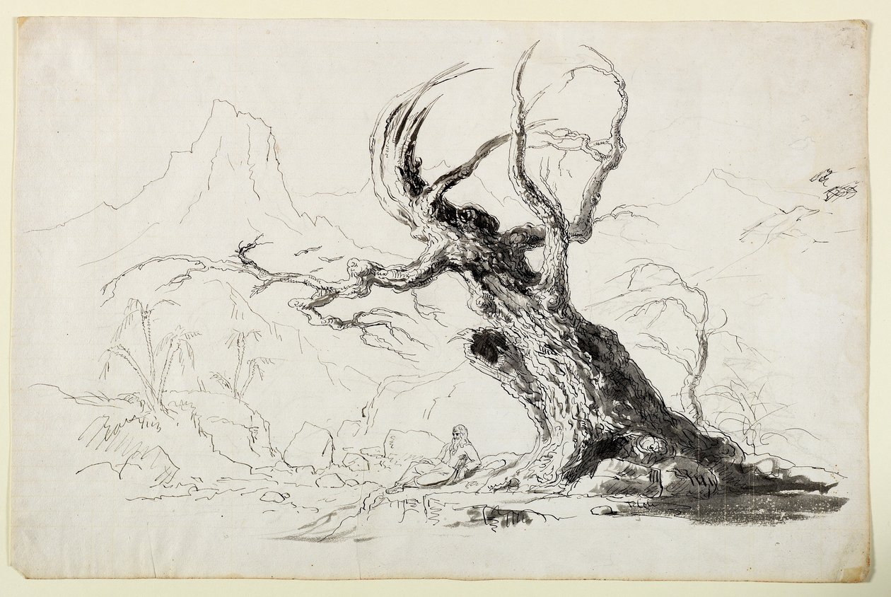 Grande árvore retorcida com homem barbudo sentado abaixo (caneta & tinta sobre lápis sobre papel) de Thomas Cole