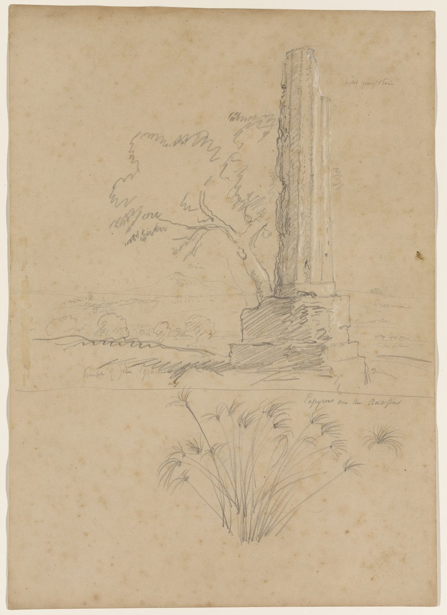 Templo de Zeus e Papiro no rio Anapo, perto de Siracusa, Sicília, 1842 (lápis elevado com giz branco sobre papel) de Thomas Cole