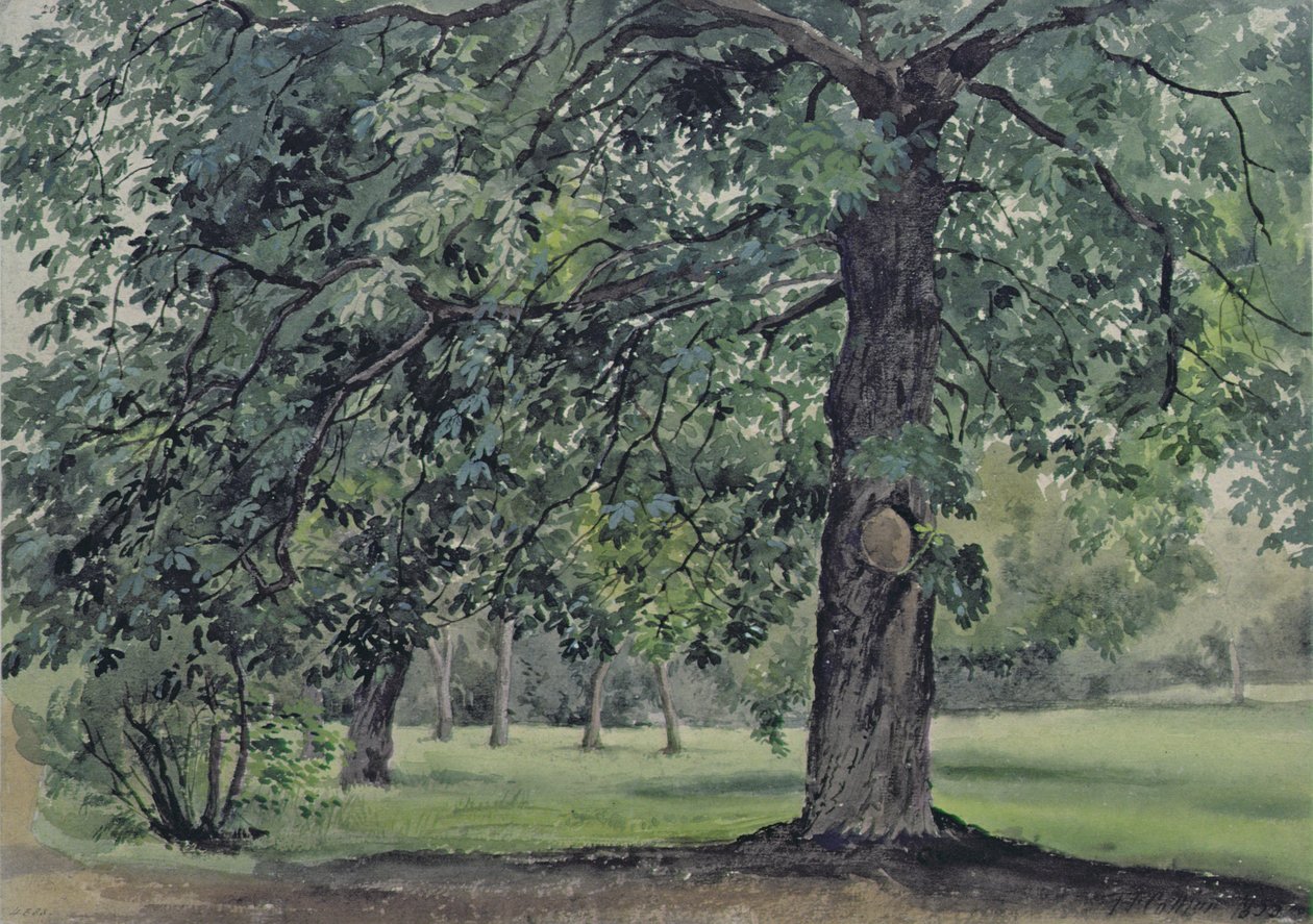 Paisagem, com, árvore castanha, em, a, primeiro plano de Thomas Collier