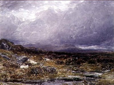 No Siabod Flats, North Wales de Thomas Collier