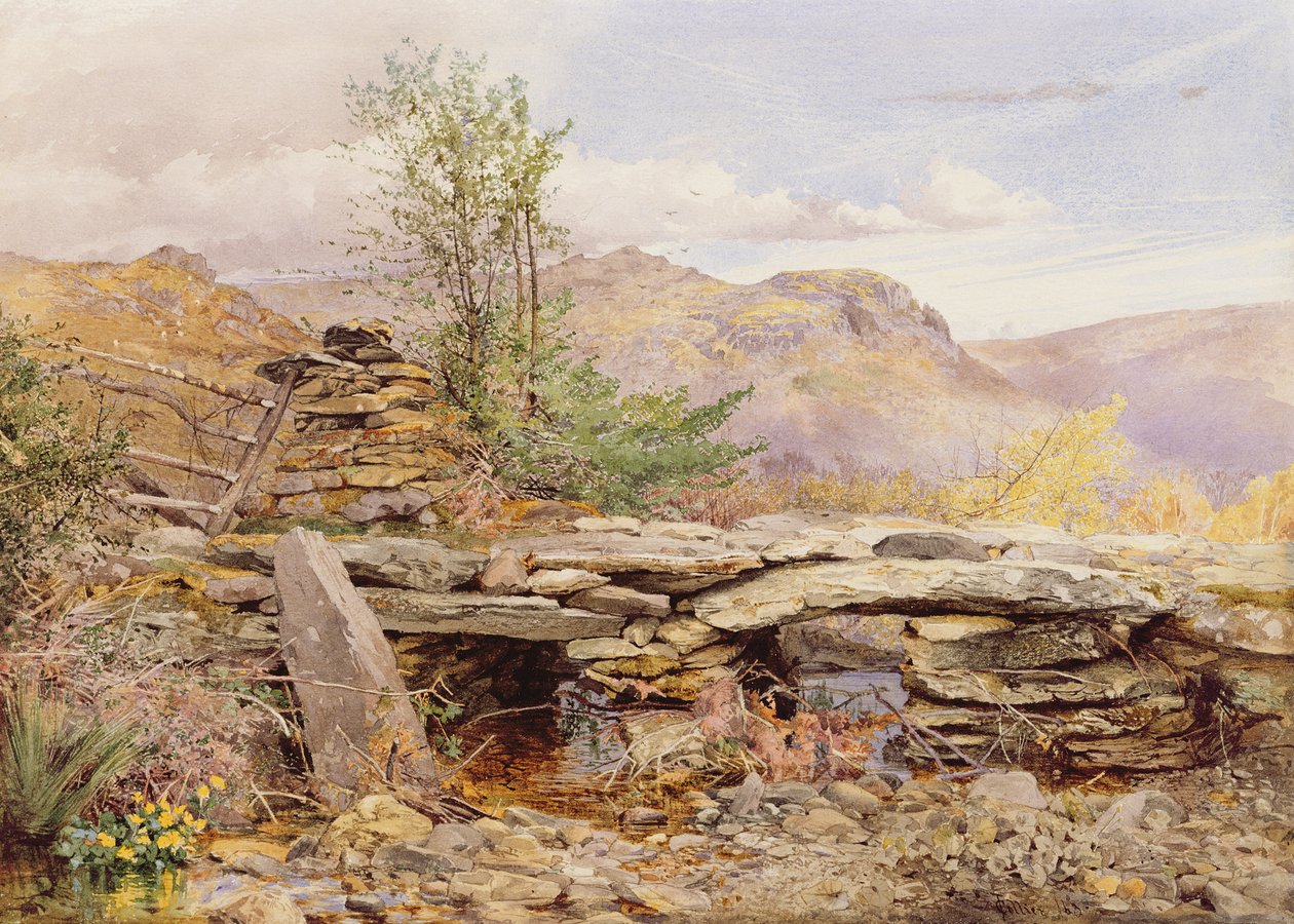 Pentre Ddu Bridge, North Wales (grafite e wc no papel) de Thomas Collier