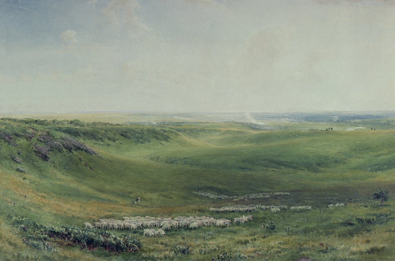 Pastagens Largas, Sussex (aquarela) de Thomas Collier