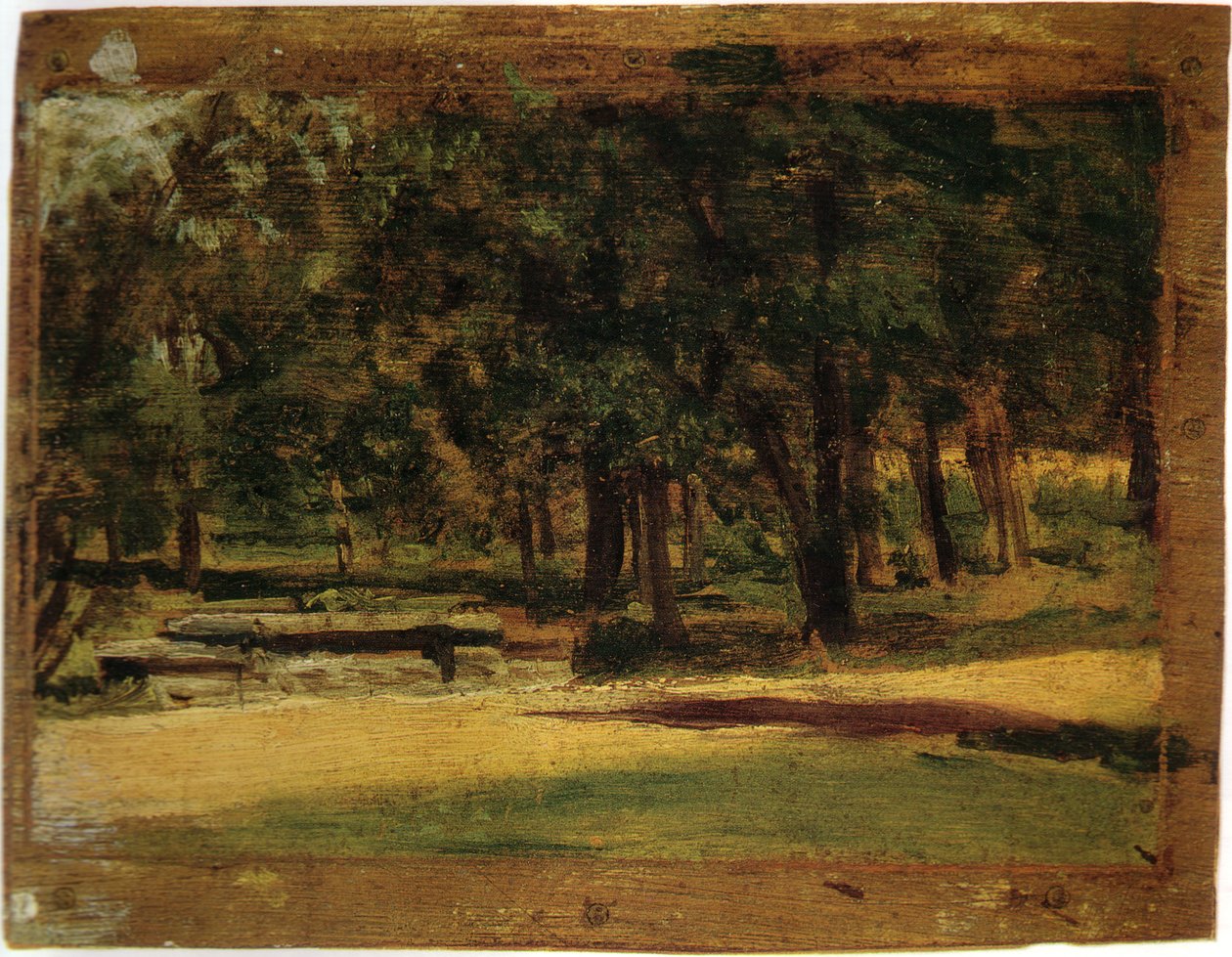 Imagem desconhecida de Thomas Eakins