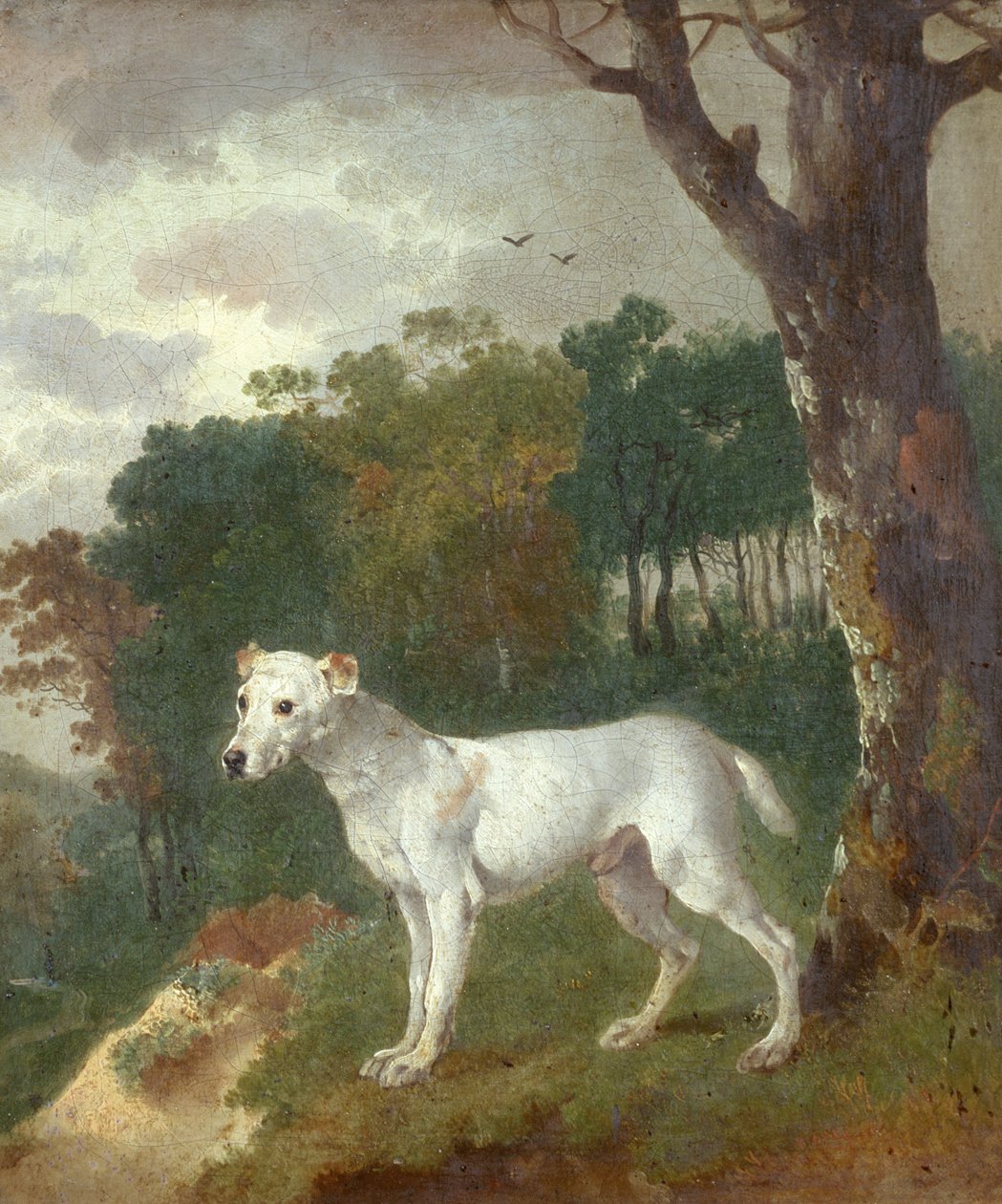 Pára-choque, um bull terrier, 1745 de Thomas Gainsborough