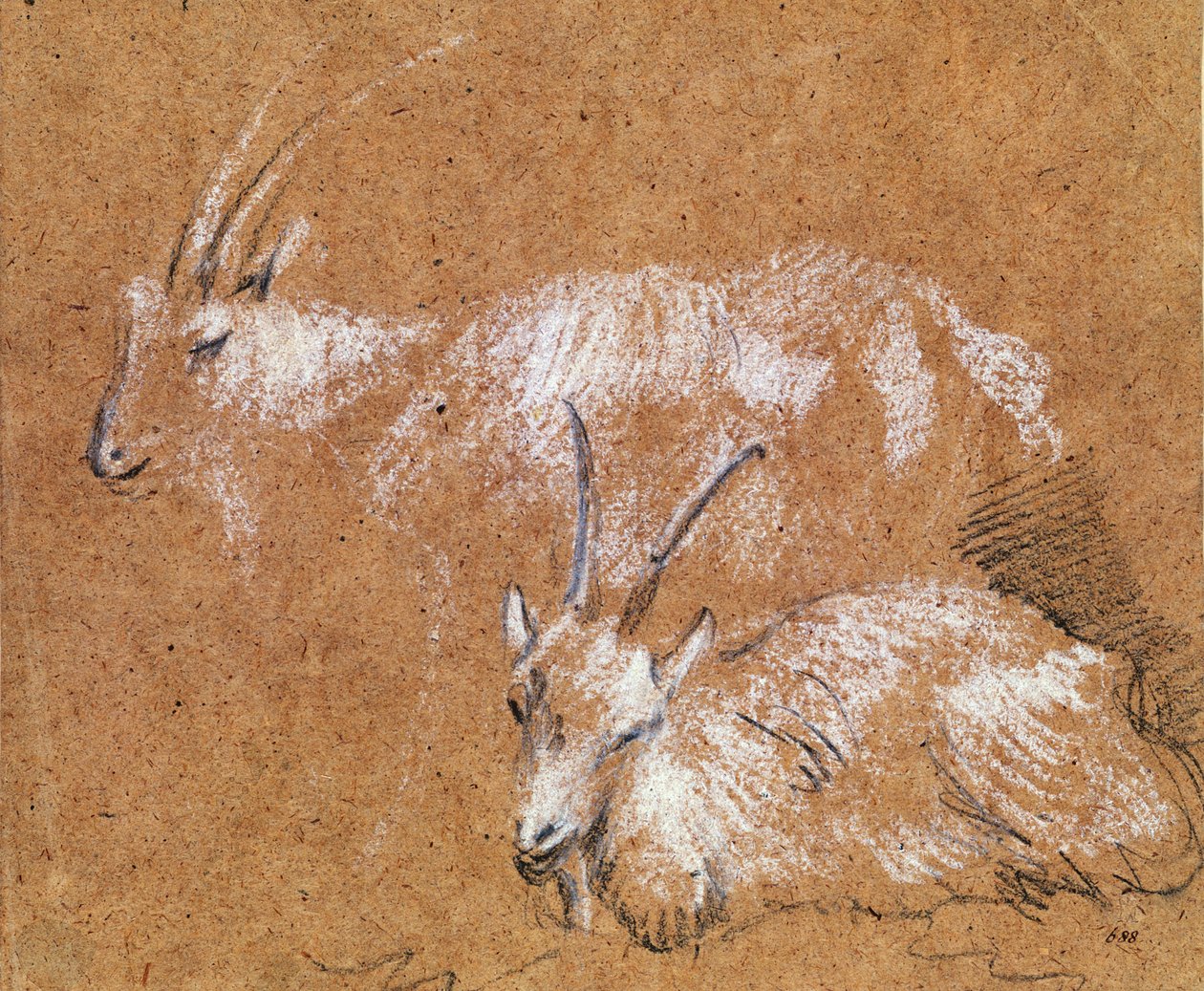 Estudo de cabras (desenho) de Thomas Gainsborough