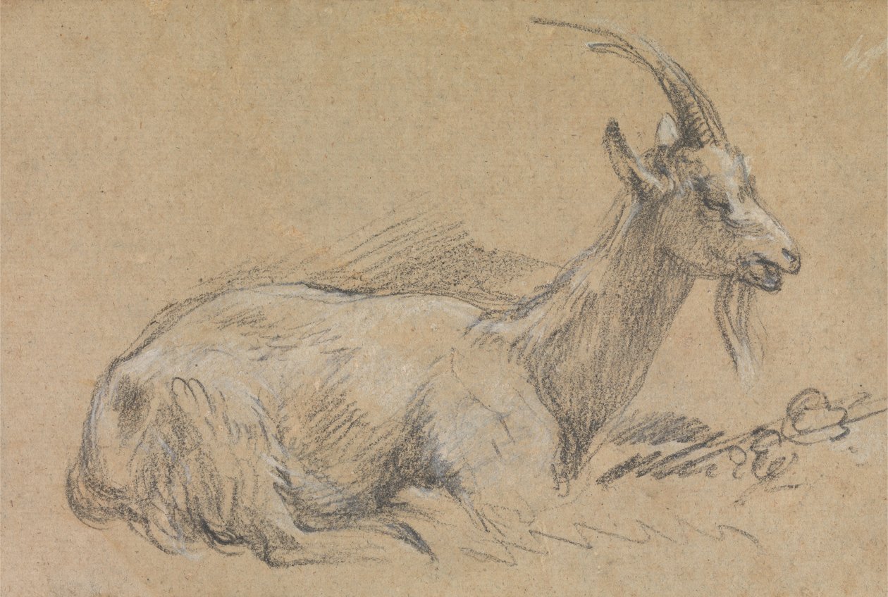 Estudo de uma cabra de Thomas Gainsborough