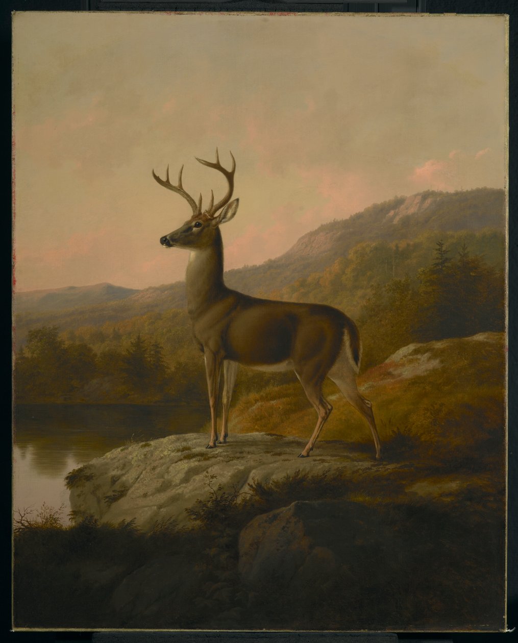 Veado, 1855 de Thomas Hewes Hinckley