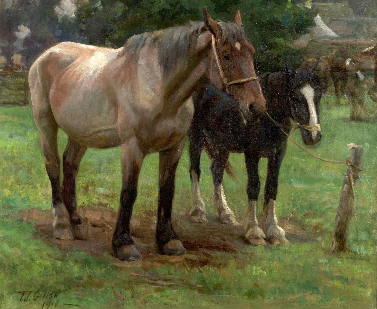 Uma feira do país, 1910 de Thomas J. Gillott