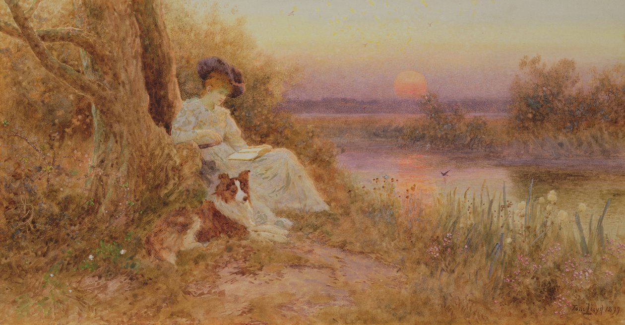 Um livro ao pôr do sol de Thomas James Lloyd