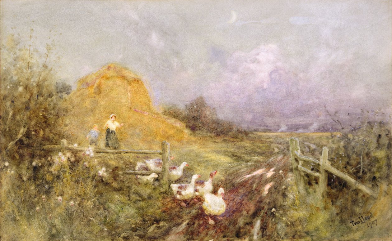 Condução de gansos, início da noite, 1907 de Thomas James Lloyd