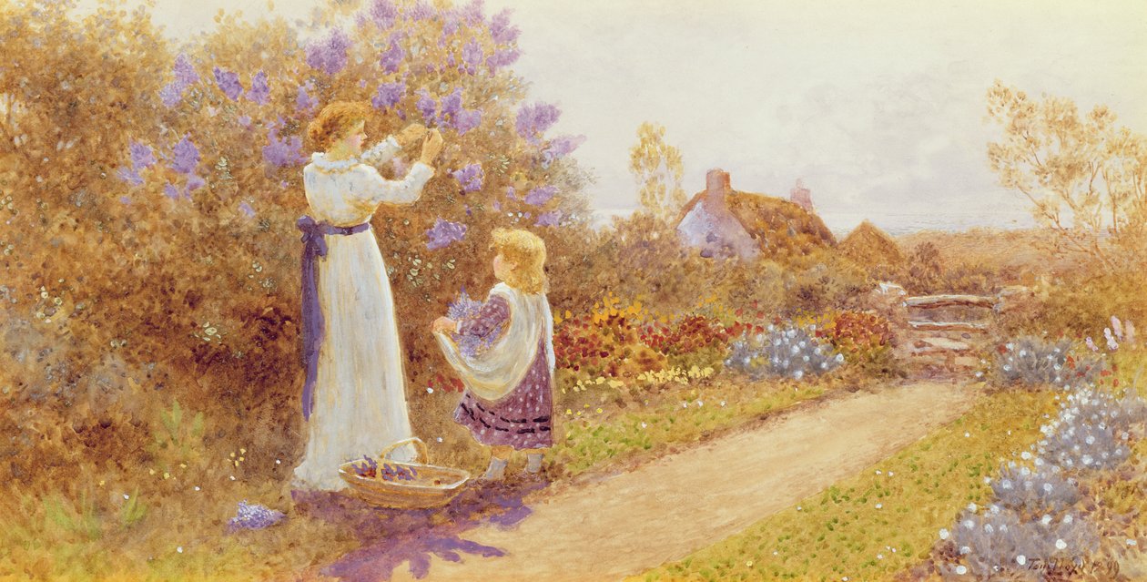 Lilacs, 1899 de Thomas James Lloyd