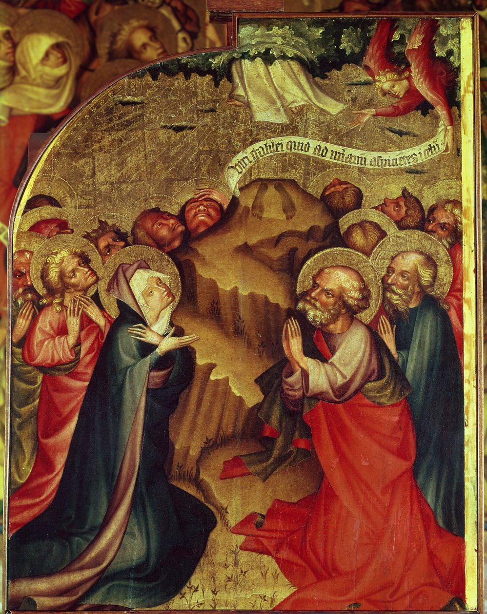 A ascensão de Thomas Kolozsvari