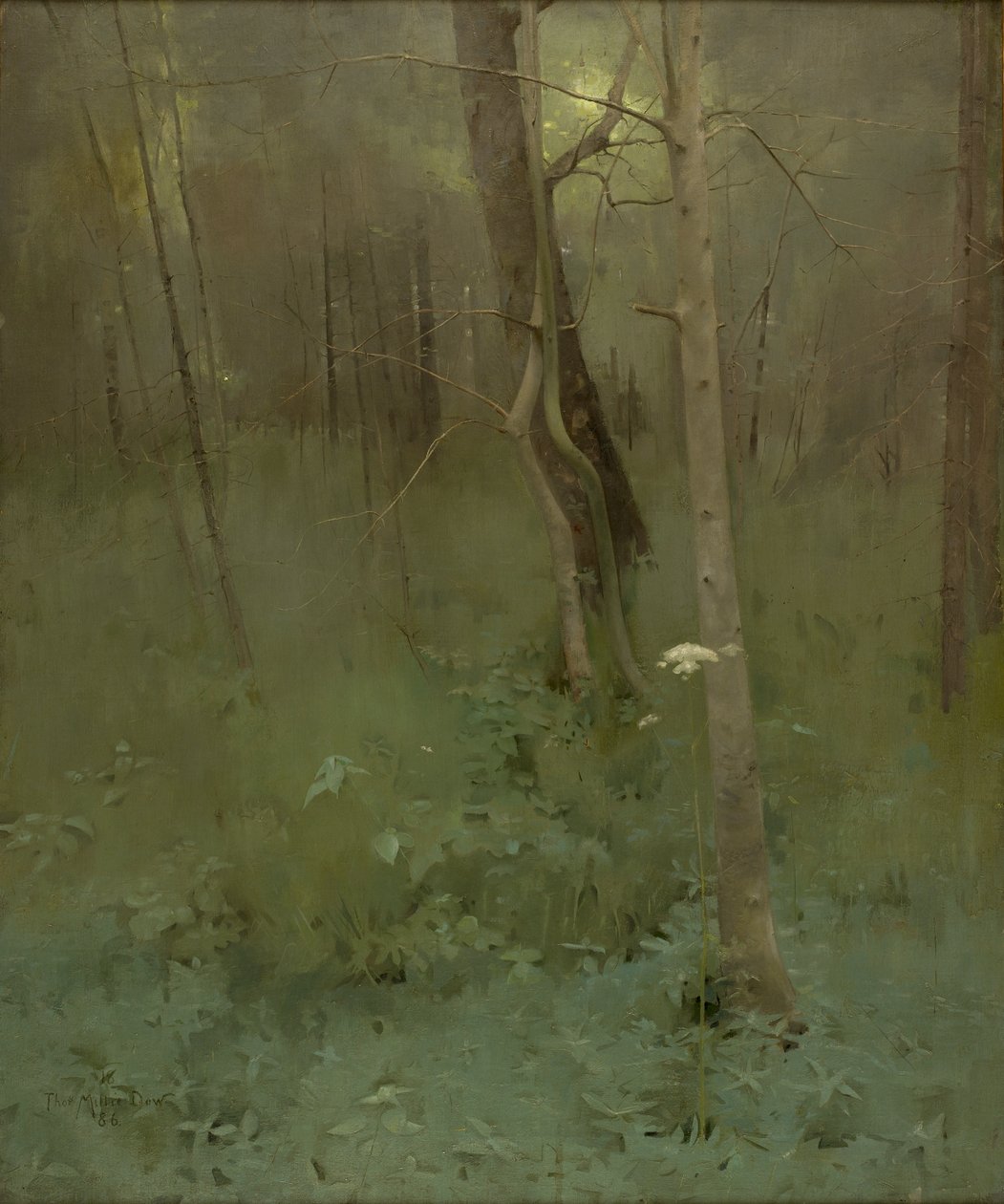 Árvores, 1886 de Thomas Millie Dow