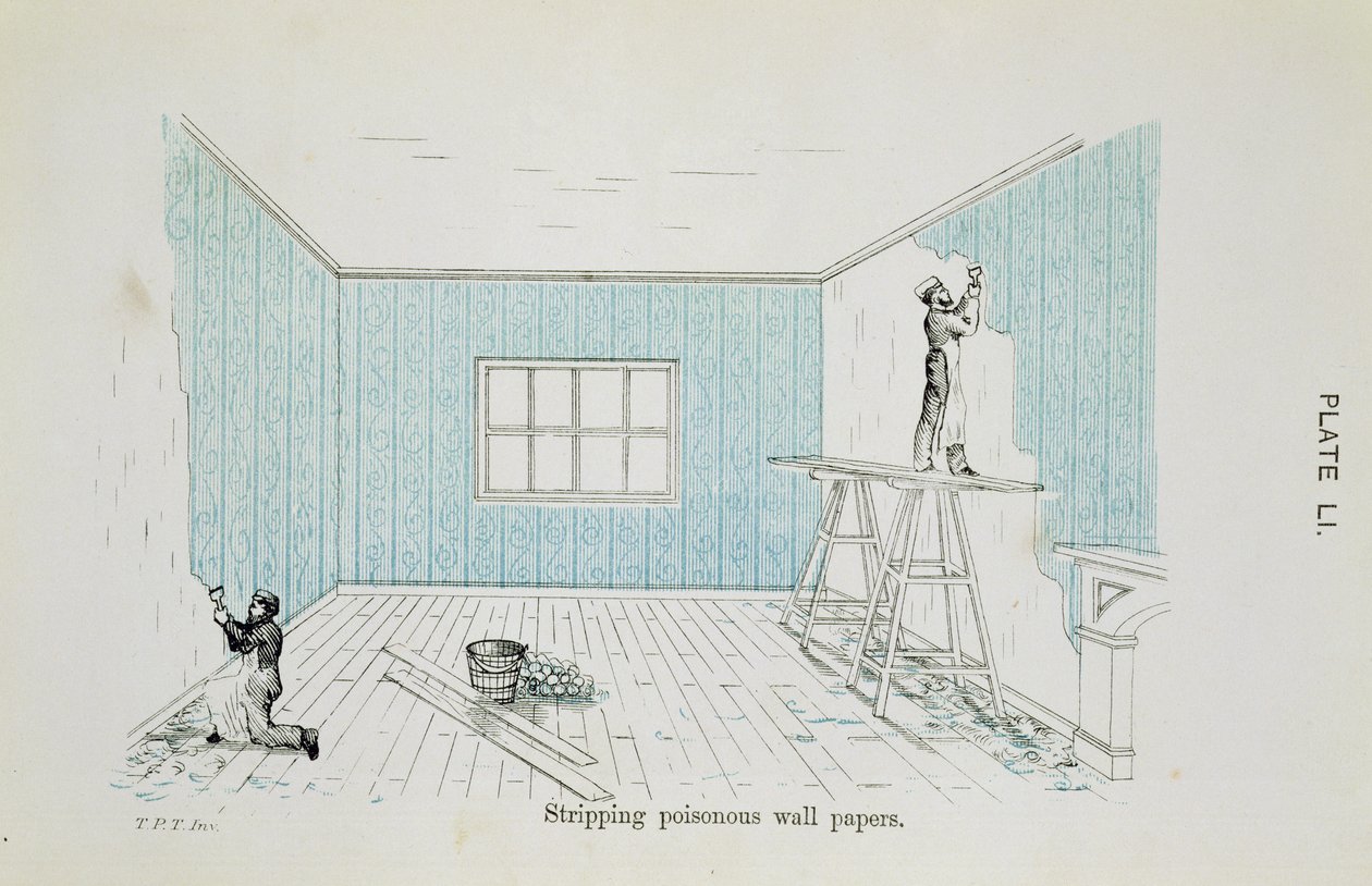Decapagem de papéis de parede venenosos, ilustração de Perigos para a saúde: um guia pictórico para os efeitos sanitários domésticos, publicado em 1897 de Thomas Pridgin Teale