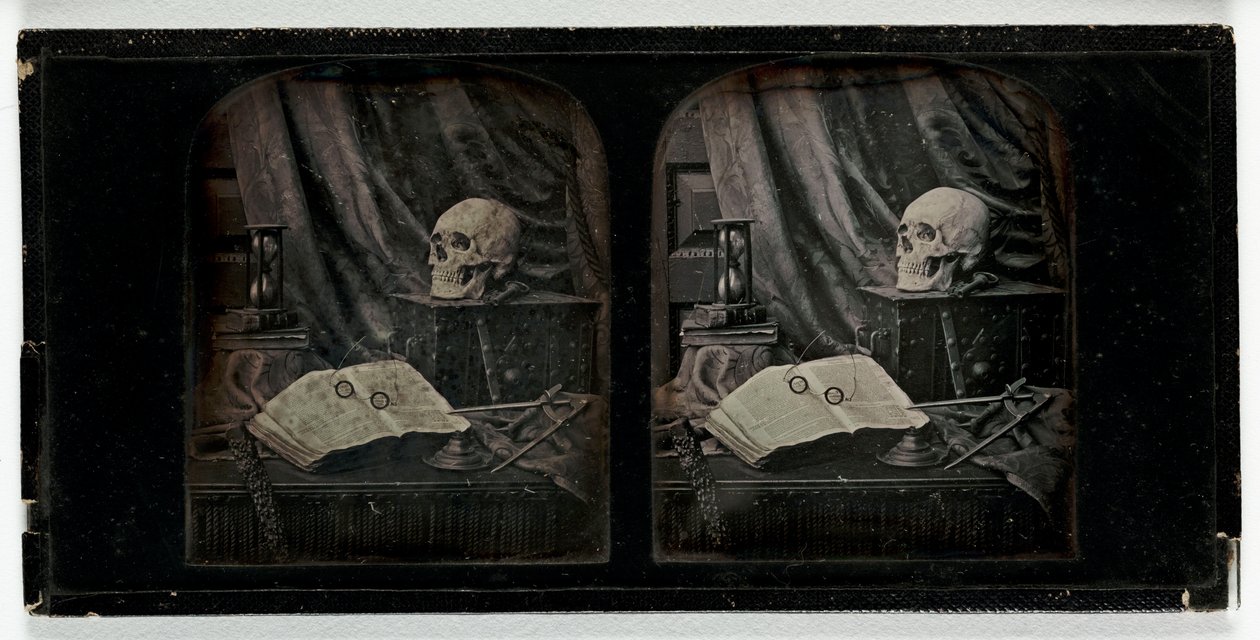 Morte da Natureza, c.1955 (daguerreótipo) de Thomas Richard Williams