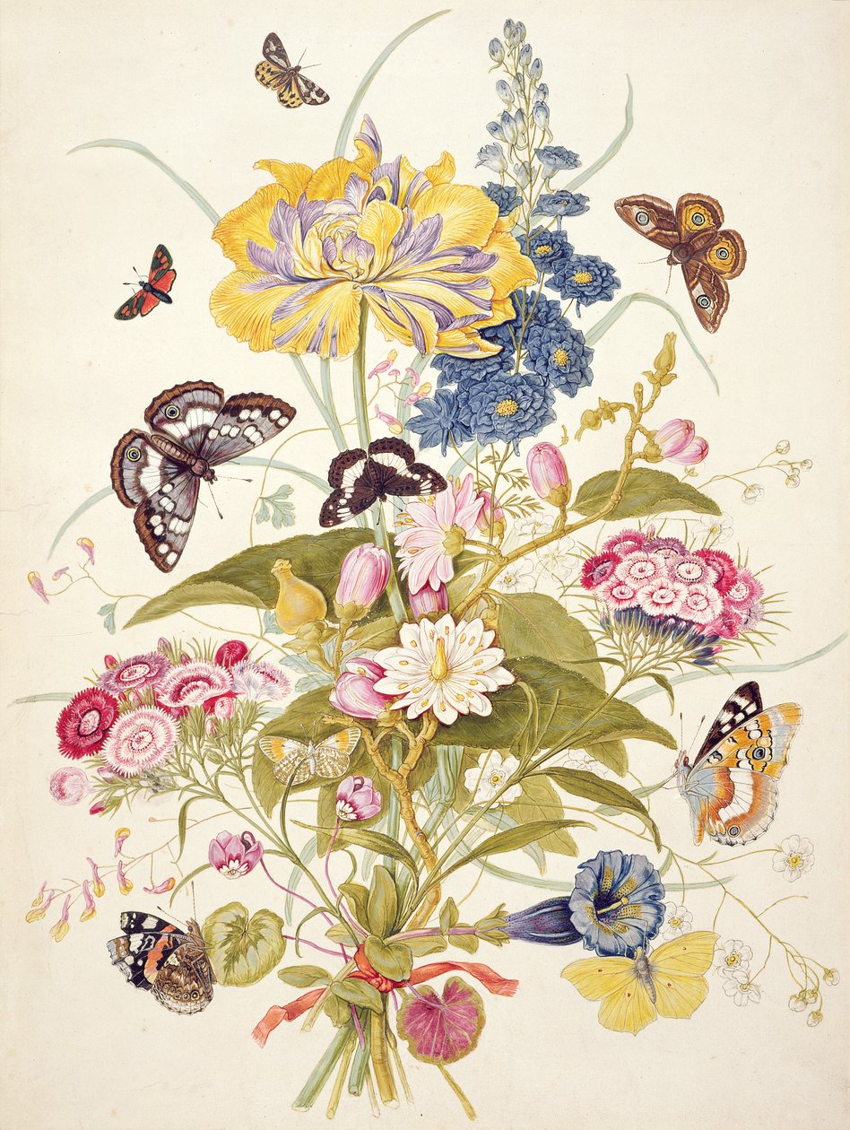 PD.912-1973 Natureza morta de flores, incluindo uma tulipa papagaio, espora, william doce, genciana e ciclâmen, 1769 de Thomas Robins