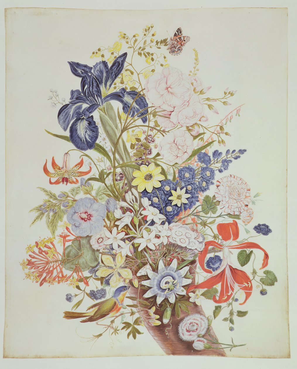 PD.915-1973 Flores mistas em uma cornucópia, c.1768 (wc e guache sobre velino) de Thomas Robins