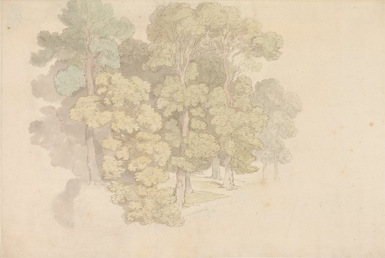 Um grupo de árvores de Thomas Rowlandson
