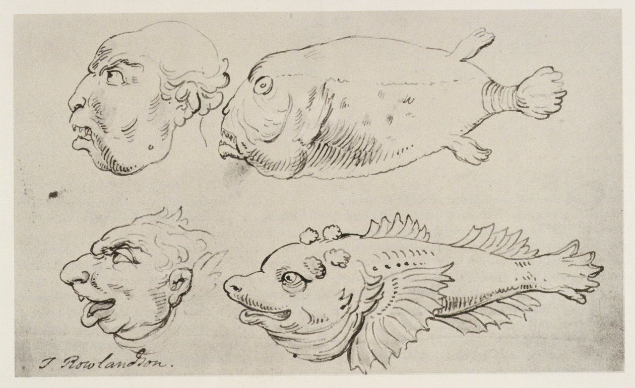 Cabeças antropomórficas de homens e peixes de Thomas Rowlandson