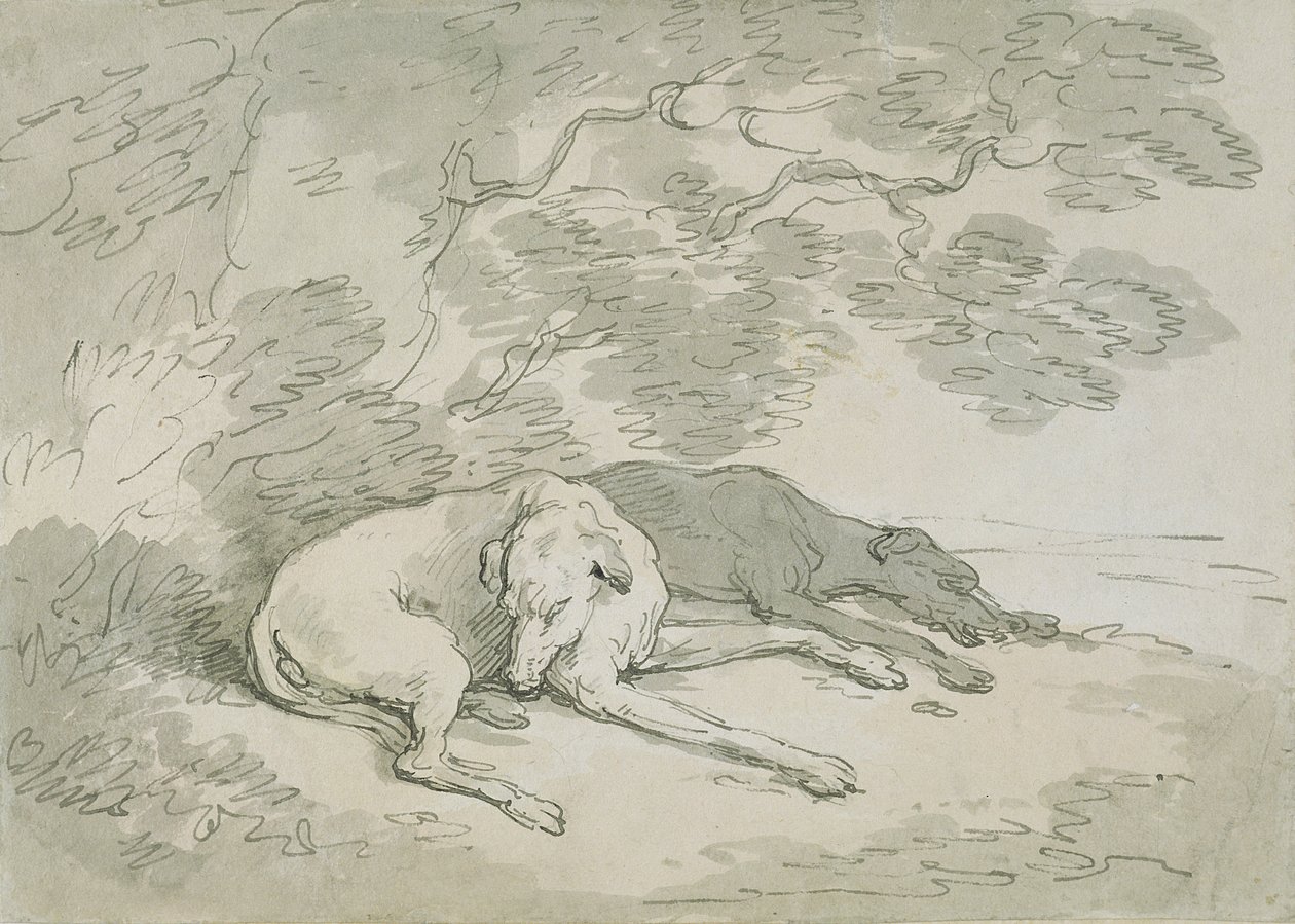 Greyhounds dormindo, (caneta e tinta no papel) de Thomas Rowlandson