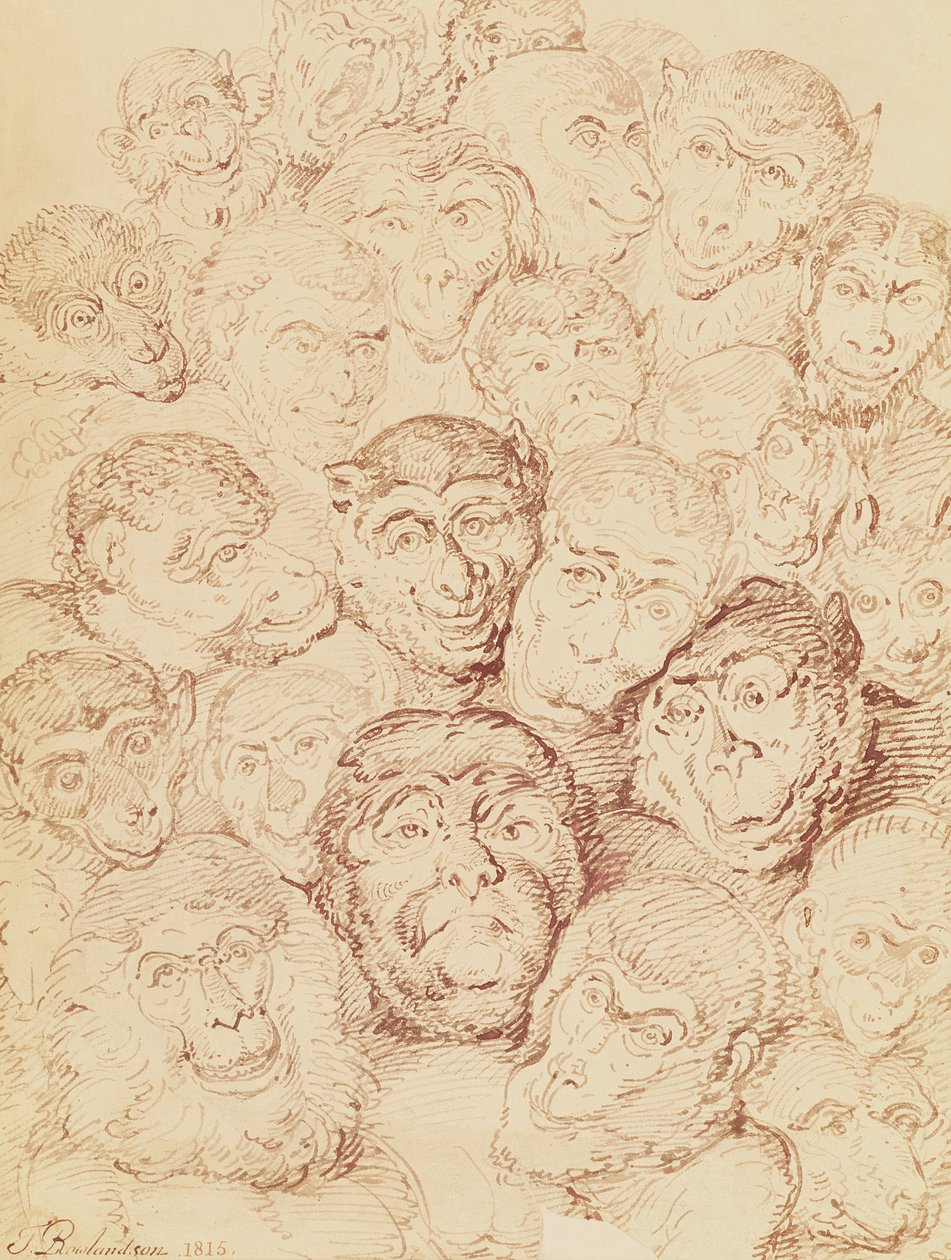 Caras de Macaco, 1815 de Thomas Rowlandson