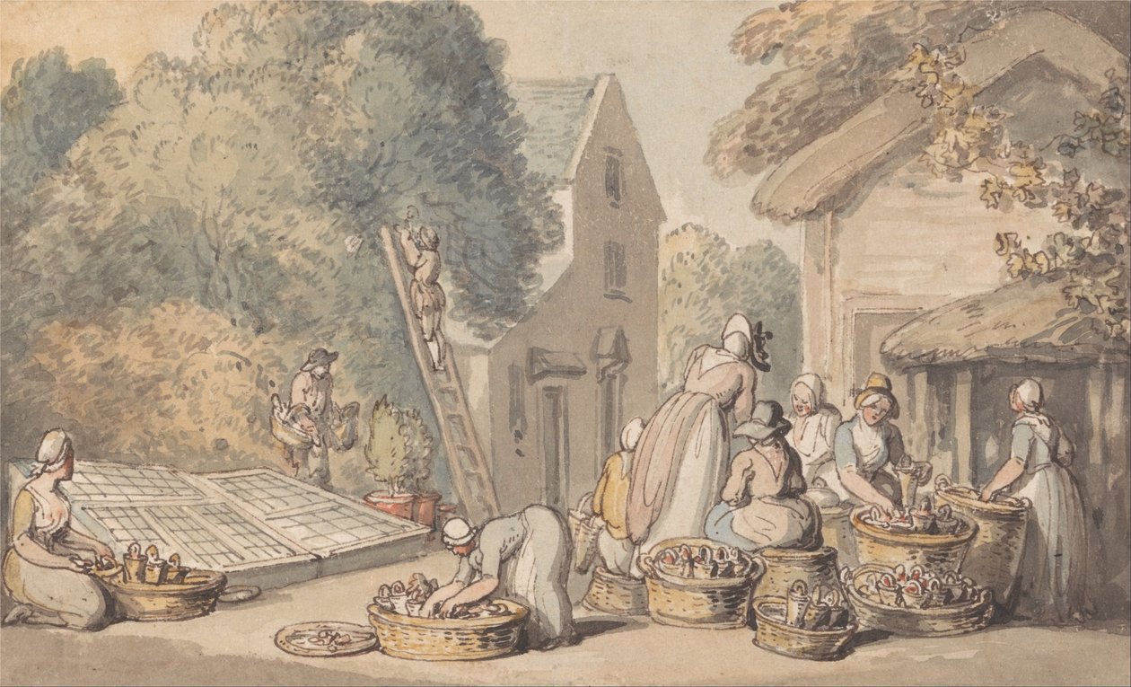 Escolhendo Amoreiras de Thomas Rowlandson