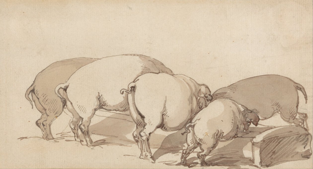 Porcos em uma calha de Thomas Rowlandson