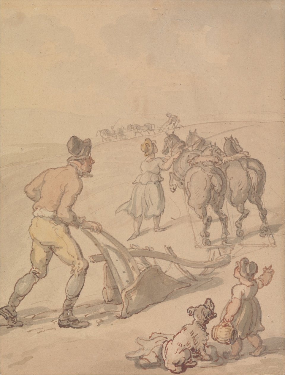 Arar de Thomas Rowlandson