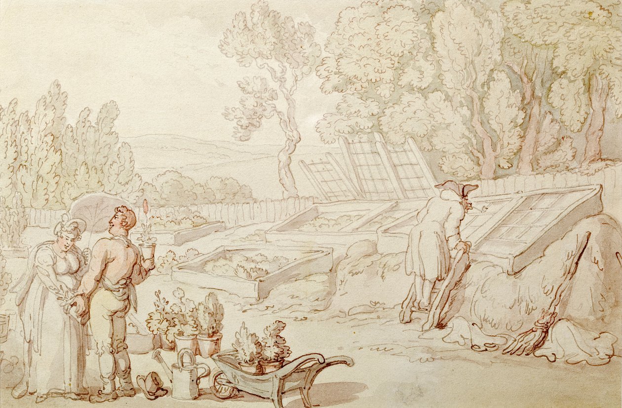 O jardineiro amoroso de Thomas Rowlandson