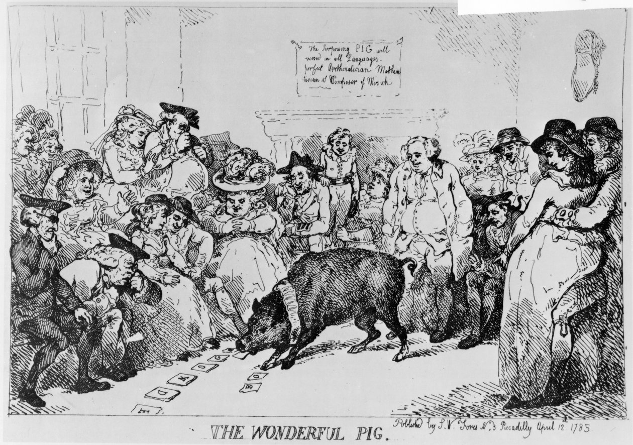 O porco maravilhoso, 1785 de Thomas Rowlandson