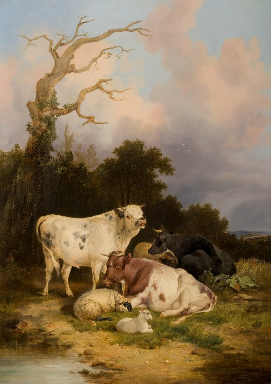 Gado e Ovelha de Thomas Sidney Cooper