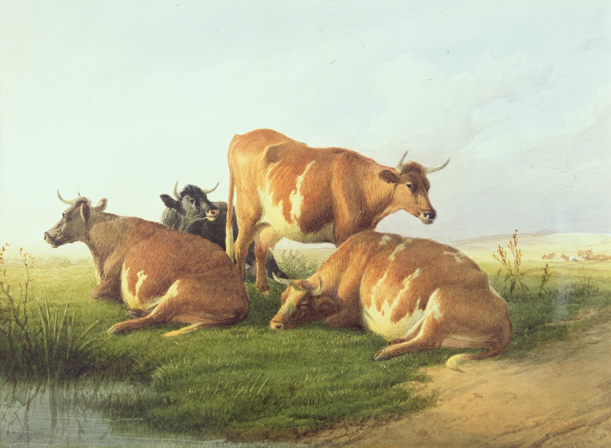 Gado em uma paisagem (wc no papel) de Thomas Sidney Cooper