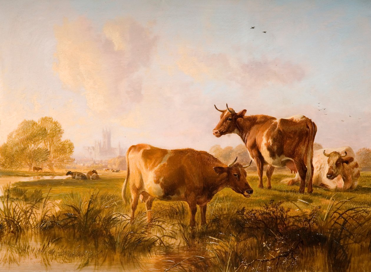 Nos prados de Canterbury, 1863 de Thomas Sidney Cooper