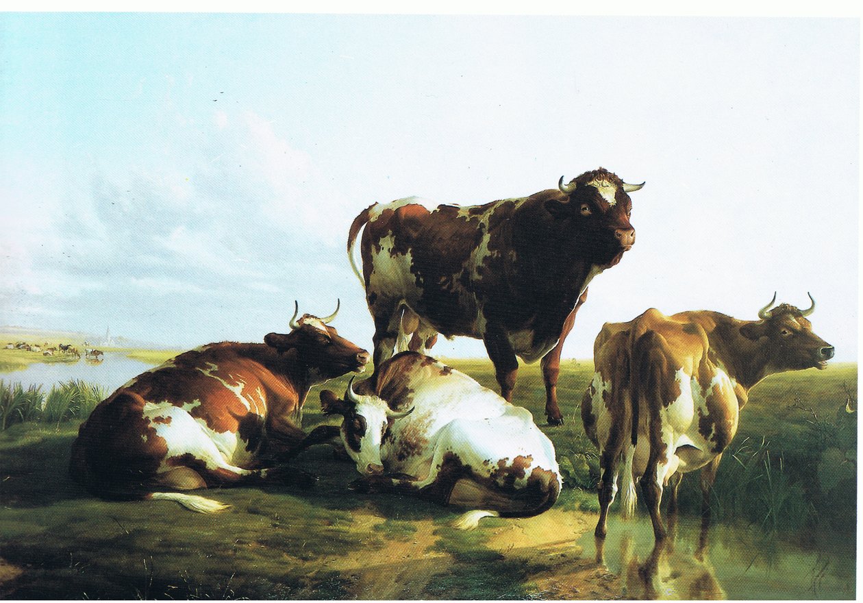 Em uma fazenda de gado leiteiro de Thomas Sidney Cooper