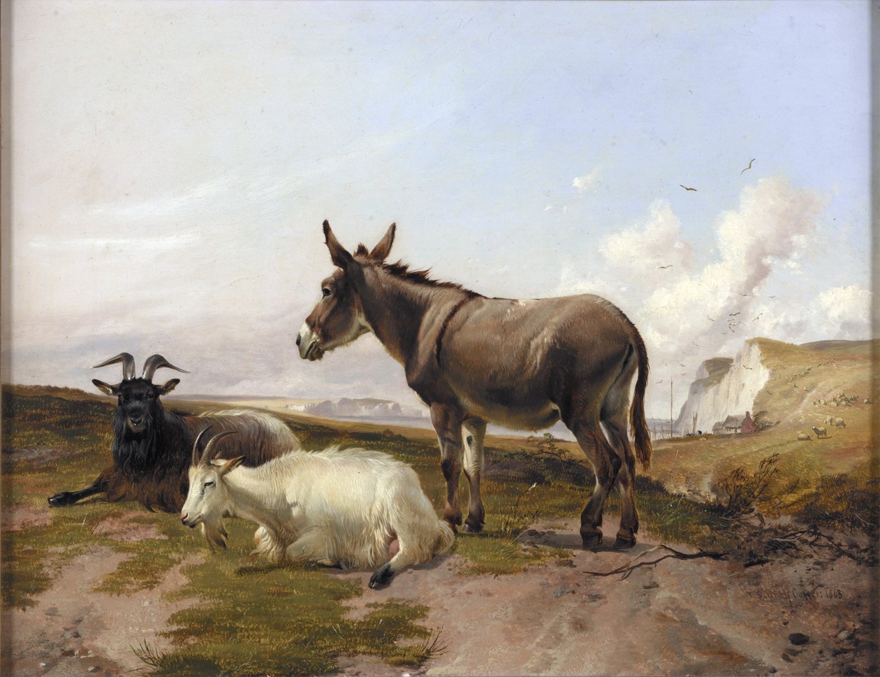 Nos Downs de Thomas Sidney Cooper