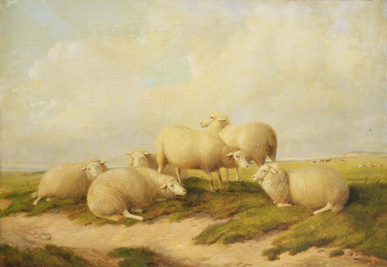 Ovelhas de Thomas Sidney Cooper