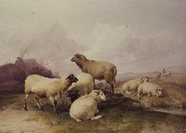Ovelha em uma paisagem, 1844 de Thomas Sidney Cooper